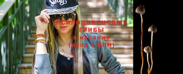 хмурый Армянск