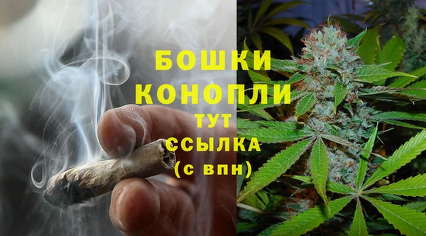дурь Аркадак